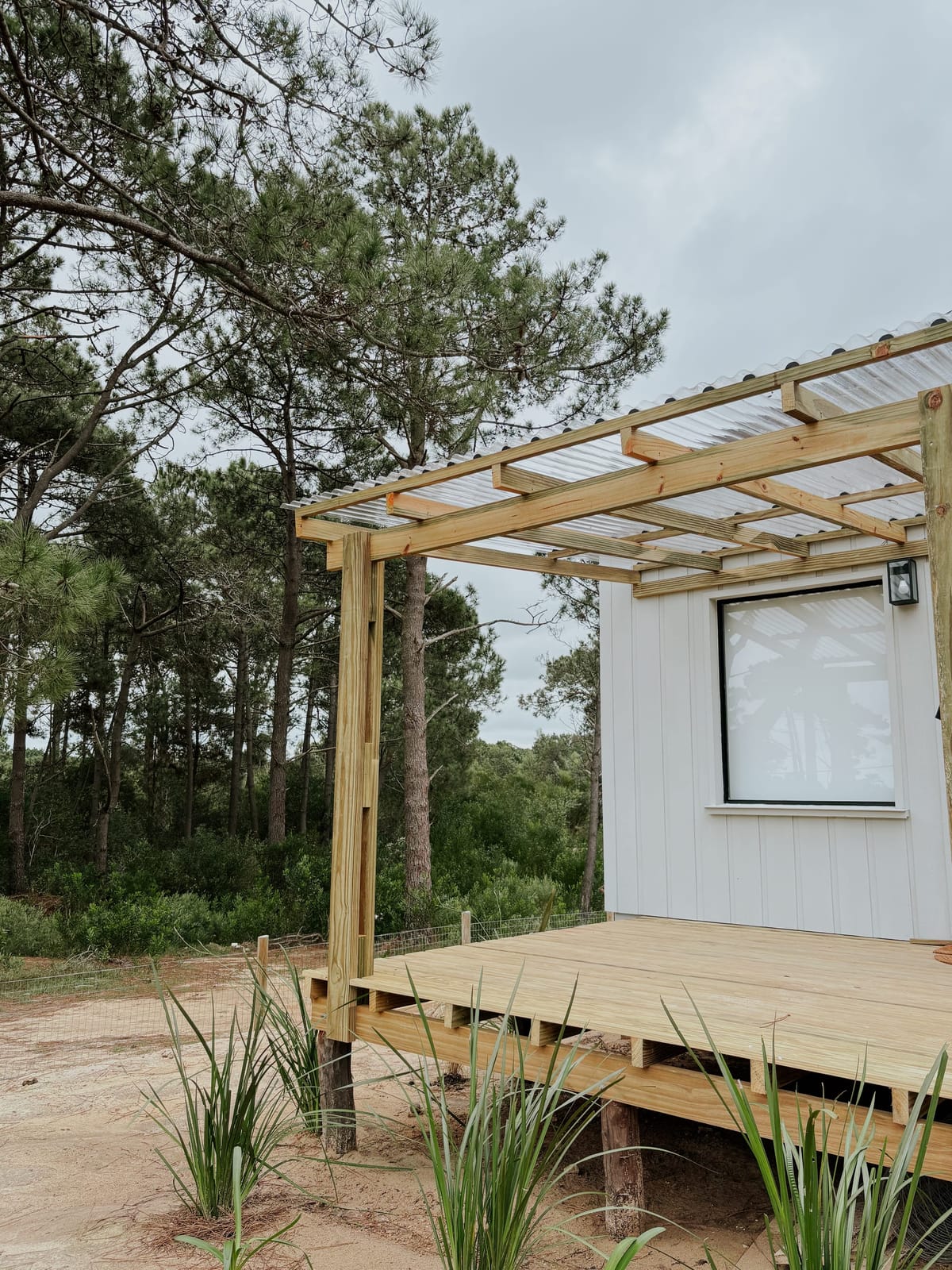 Timber deck with pergola and translucent roof along the white facade, pines behind.