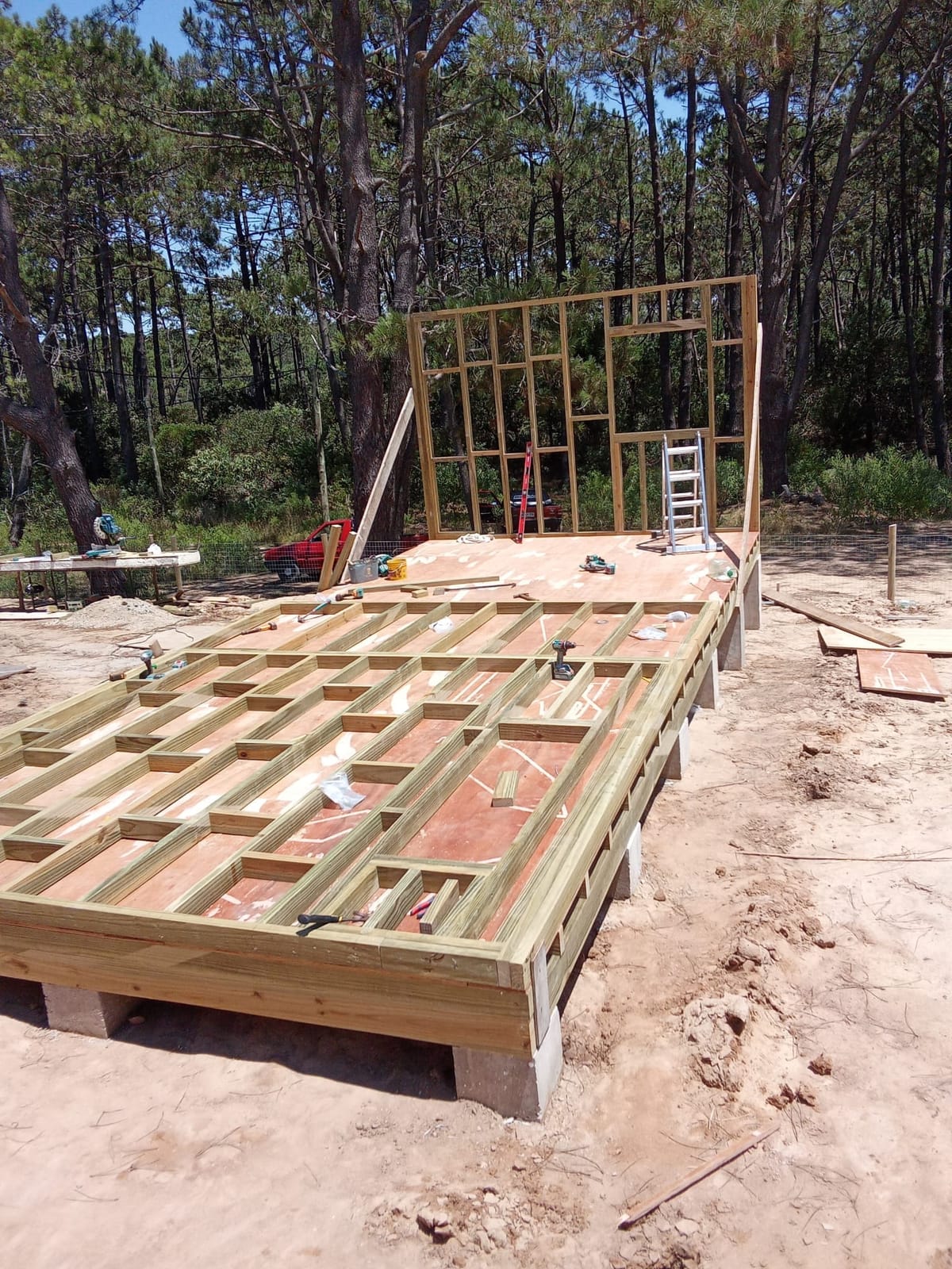 Floor joists on concrete piers, behind them the first raised frame wall against the pine forest.